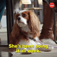 Doing it all week