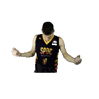 SPDC basketball kenny wilson bola Sticker