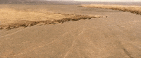 Bollywood GIF by Ashutosh Gowariker Productions