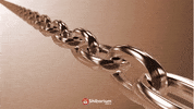 Shibarium GIF by SHIB MEMES