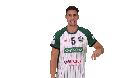 Handball-Bundesliga Handball Sticker by LIQUI MOLY HBL