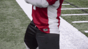 mascot geegee GIF