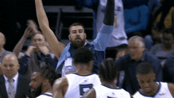 jonas valanciunas mood GIF by NBA