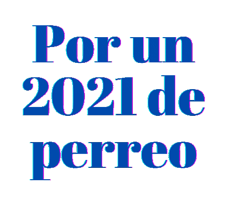 Dance Lights Sticker