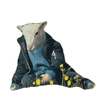 Ada Lamb Sticker by CineCANIBAL