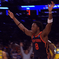 Celly GIF by New York Knicks