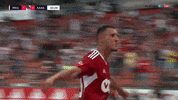 Celebration Goal GIF by Standard de Liège