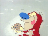 ren and stimpy nicksplat GIF