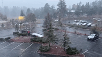 Sleet and Snow Cover Flagstaff as Winters Arrives in Arizona