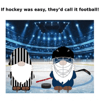 Sport Hockey GIF