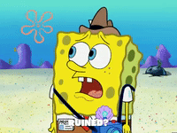 season 6 boating buddies GIF by SpongeBob SquarePants