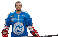 Hockey Point Sticker by Newcastle Northstars