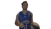 BendigoBraves  Sticker