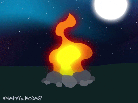 HappyTheHodag giphyupload goodnight camping on fire GIF