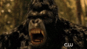 #groddpaley #theflashpaley #theflashpaleyfest GIF by The Paley Center for Media