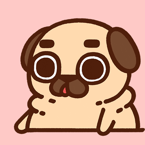 GIF by Puglie Pug