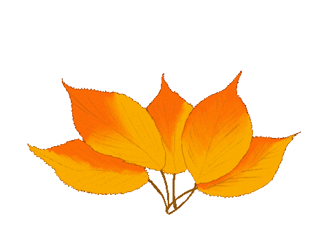 Inuvet giphyupload herbst Sticker