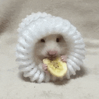 chip GIF