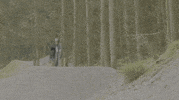 Bmx Bikes GIF by Santa Cruz Bicycles