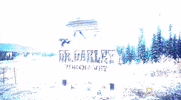 nat geo wild yukon vet GIF by Dr. Oakley, Yukon Vet