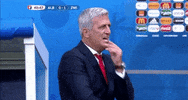 Happy Euro 2016 GIF by Sporza