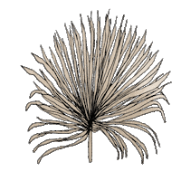 Summer Leave Sticker by Sivan Ayla