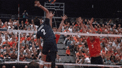 Happy Celebration GIF by Volleyball World
