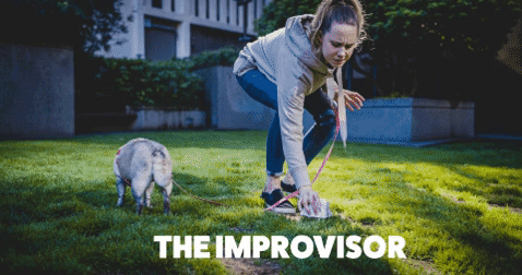 GIF by Rover.com