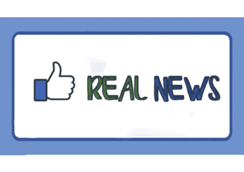 anamillowitschjasikovac giphyupload fakenews thumbsdown fakenews realfakenews Sticker