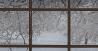 GIF by CHADO