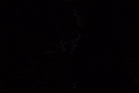 Dudu Ecvitoria GIF