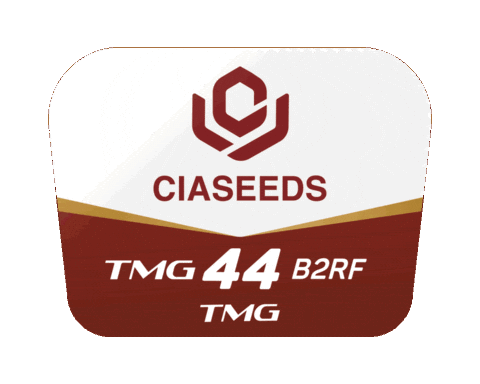 Tmg Sticker by Ciaseeds