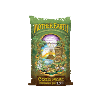 Mother Earth Coco Sticker by HawthorneGC