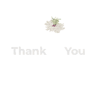 Elnahl Elnahlhoney Thankyou Recommended Sellingfast Elnahlhoneythankyou Sticker by El Nahl