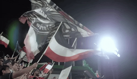 soccer mls GIF by D.C. United