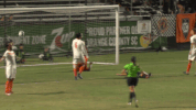 goal oc GIF by Orange County Soccer Club