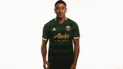 Portland Timbers Thumbs Up GIF by Timbers