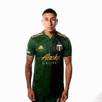 Portland Timbers Sport GIF by Timbers
