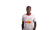 Red Bull Rbl Sticker by RB Leipzig