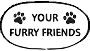 Cat Dog GIF by barkingheads