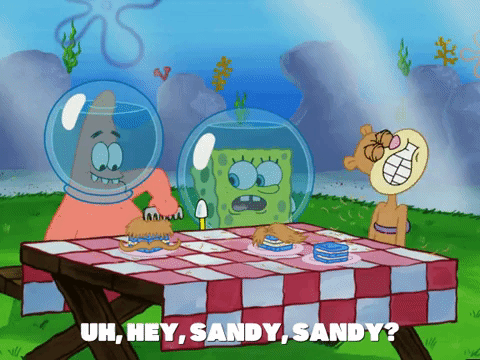 season 5 episode 10 GIF by SpongeBob SquarePants