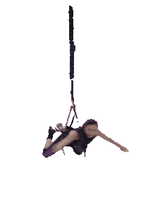 Bang Bungee Sticker by Sportepilates
