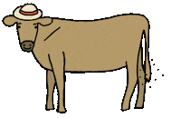 Summer Cow Sticker by Gutes aus Vorpommern