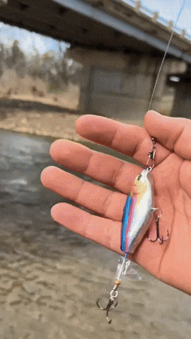 GIF Animado