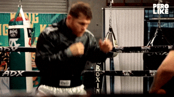 Canelo Alvarez Uppercut