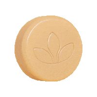 HerliaNaturals ginger soap handmadesoap herlia Sticker