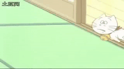 Scared Cat GIF