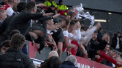 League Cup Final Success GIF by Cliftonville Football Club