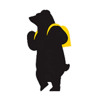 Bear Sticker by Visitpori