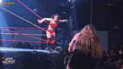 Flying Fallen Angel GIF
